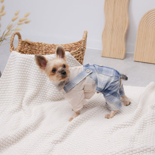 チェックオーバーオール