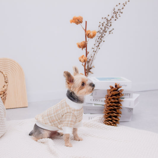 タータンチェックトレーナー