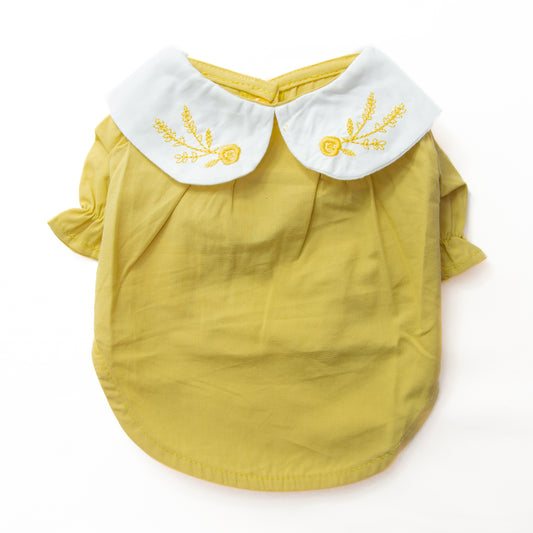 オータムカラーシャツ