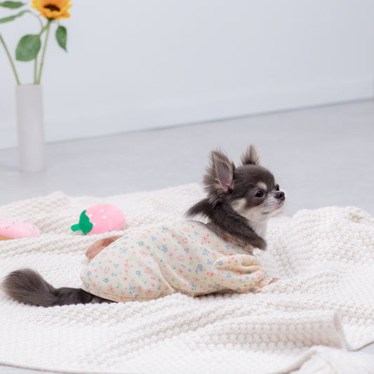 イチゴのおもちゃ