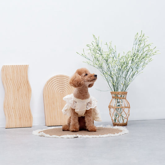 シフォンレースワンピース