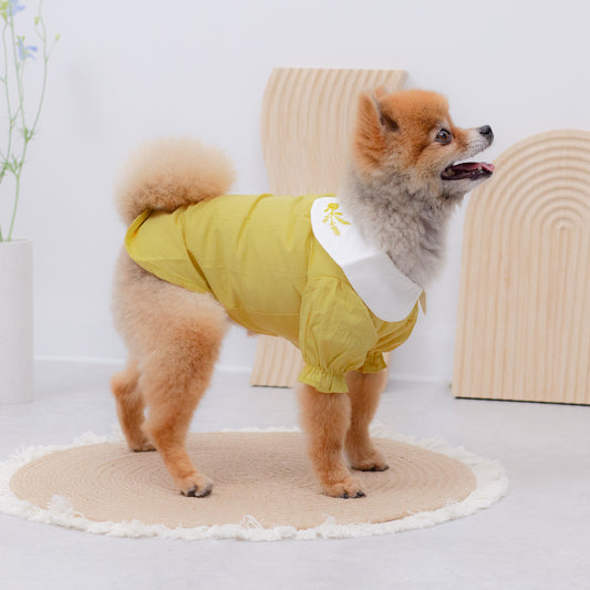 オータムカラーシャツ