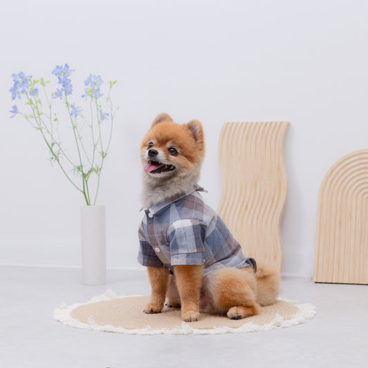 蝶ネクタイ風チェックシャツ