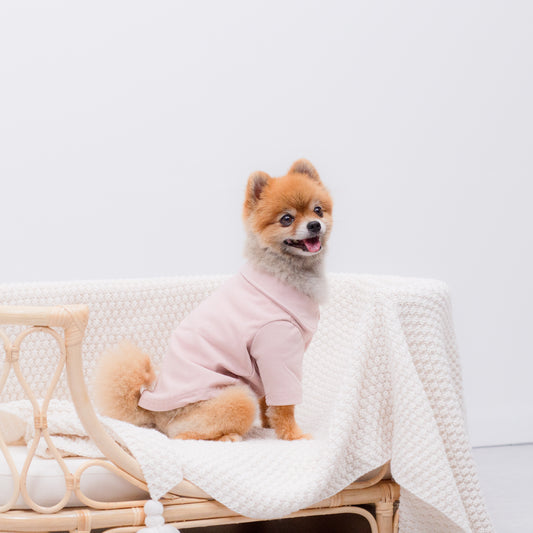 ラウンドネックトレーナー