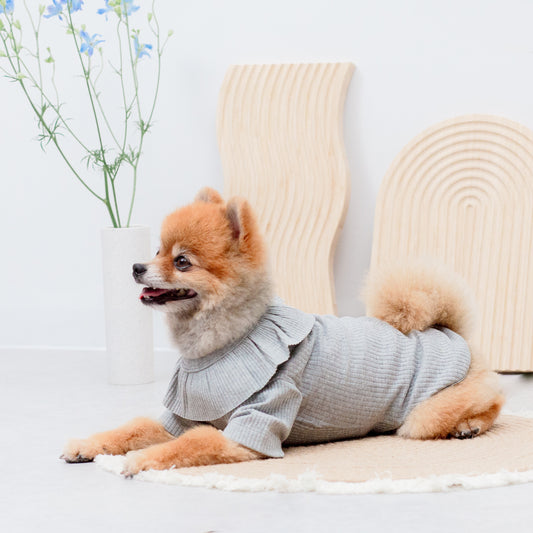 ビッグカラーカットソー