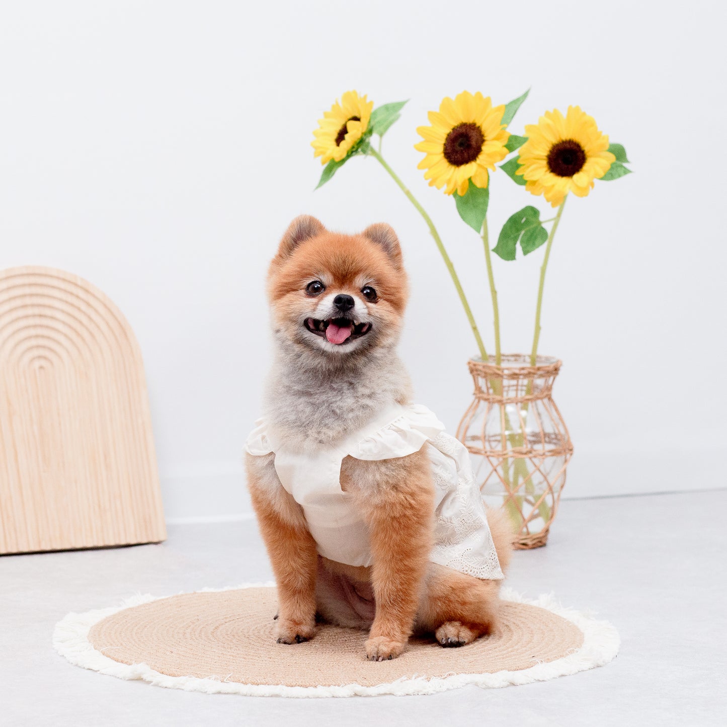 フリルレースワンピース