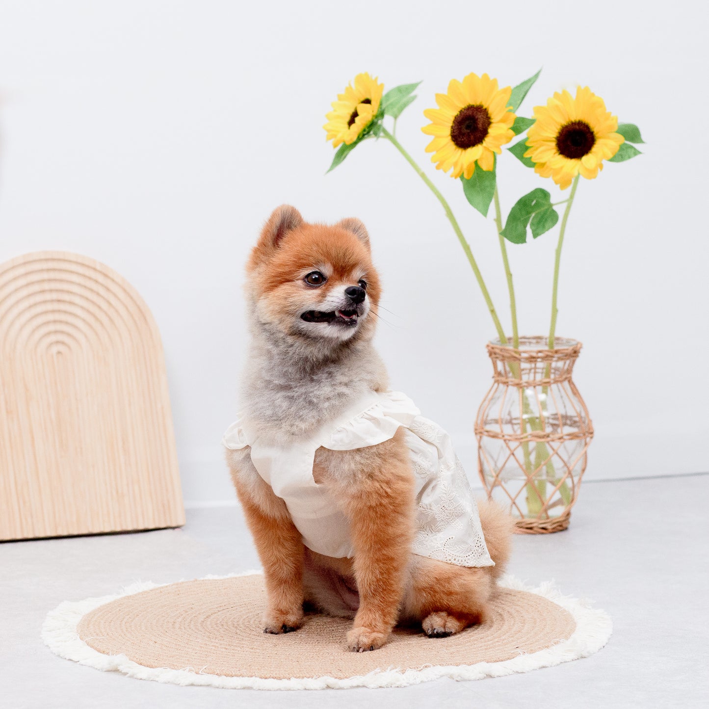 フリルレースワンピース