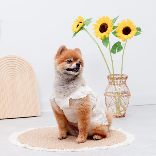 フリルレースワンピース