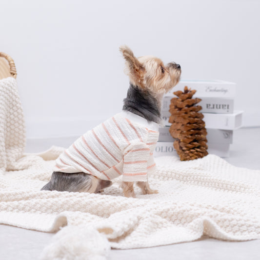 ボーダーカットソー