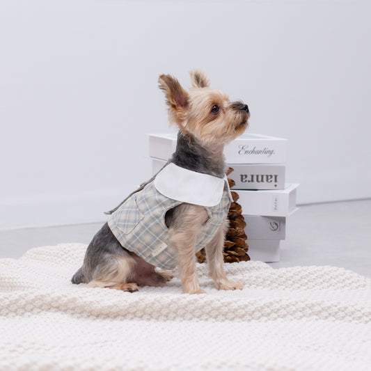 チェック柄ハーネスウエア