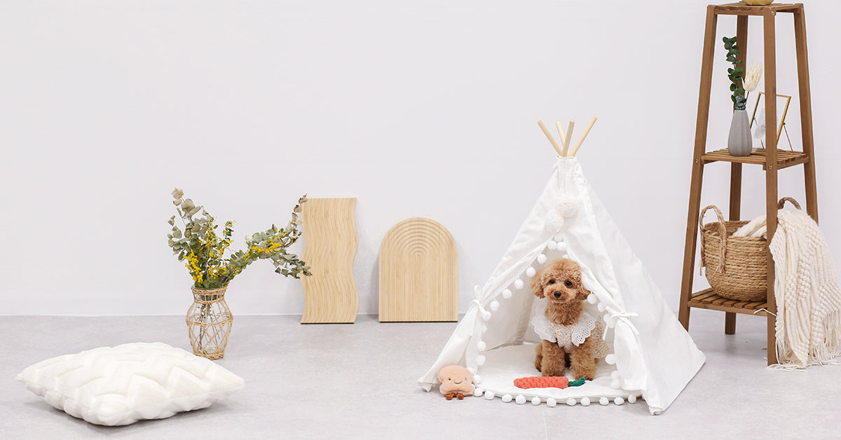 アップルジャムワンワン 犬 アーティストベア 海外作家様 ハンドメイド