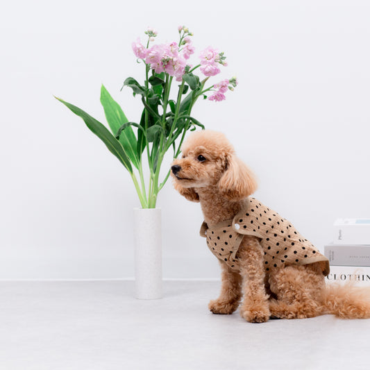 ガーゼタンクトップ