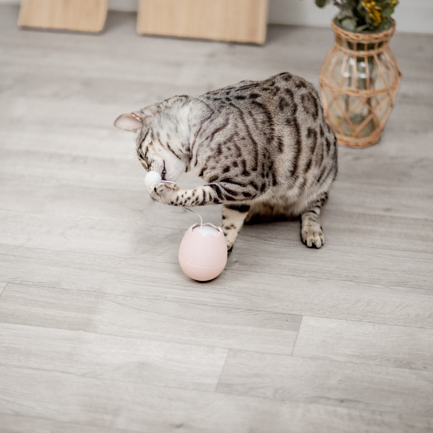 卵殻の自動猫じゃらし