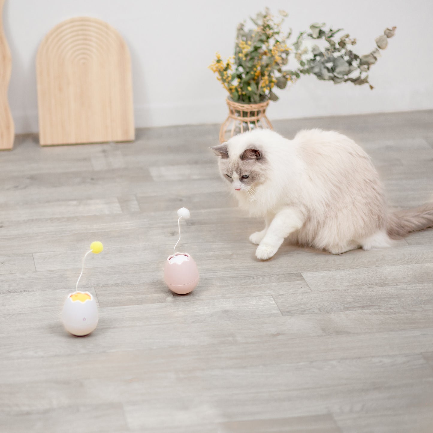卵殻の自動猫じゃらし