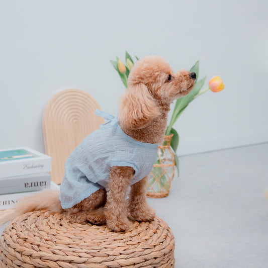 リボンカットソー