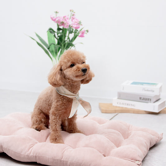 スプリングスカーフ