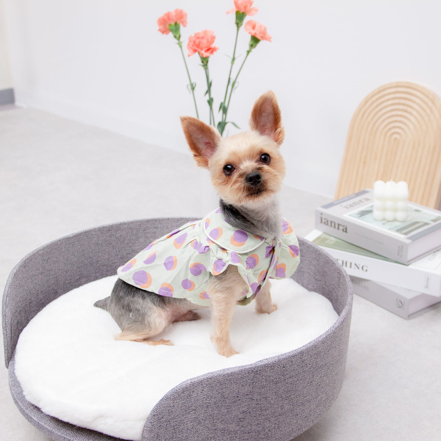 大きなドットのレトロワンピース