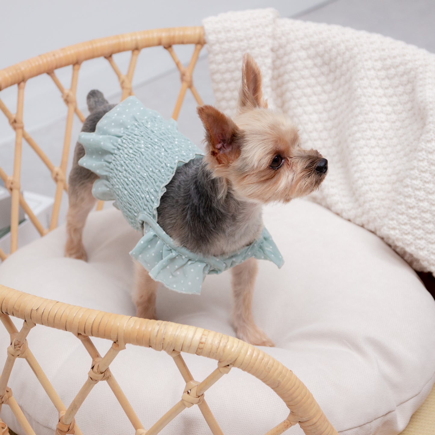 ドット柄シフォンワンピース