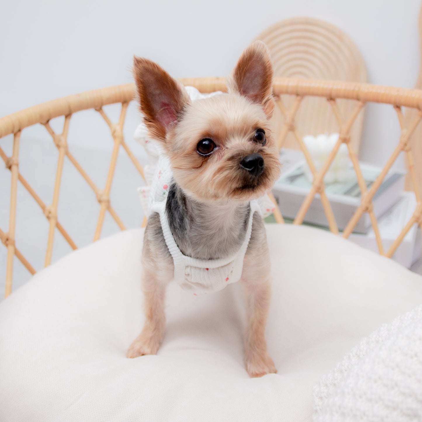 さくらんぼ柄キャミワンピース