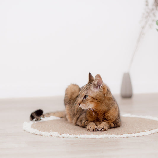 フリンジ爪とぎ麻マット