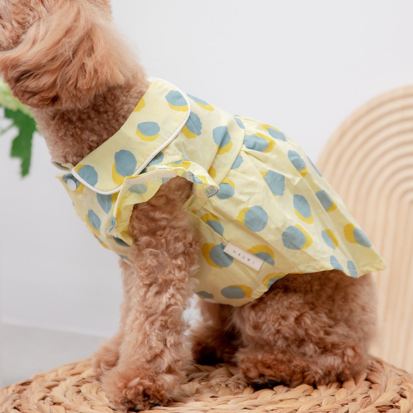 大きなドットのレトロワンピース