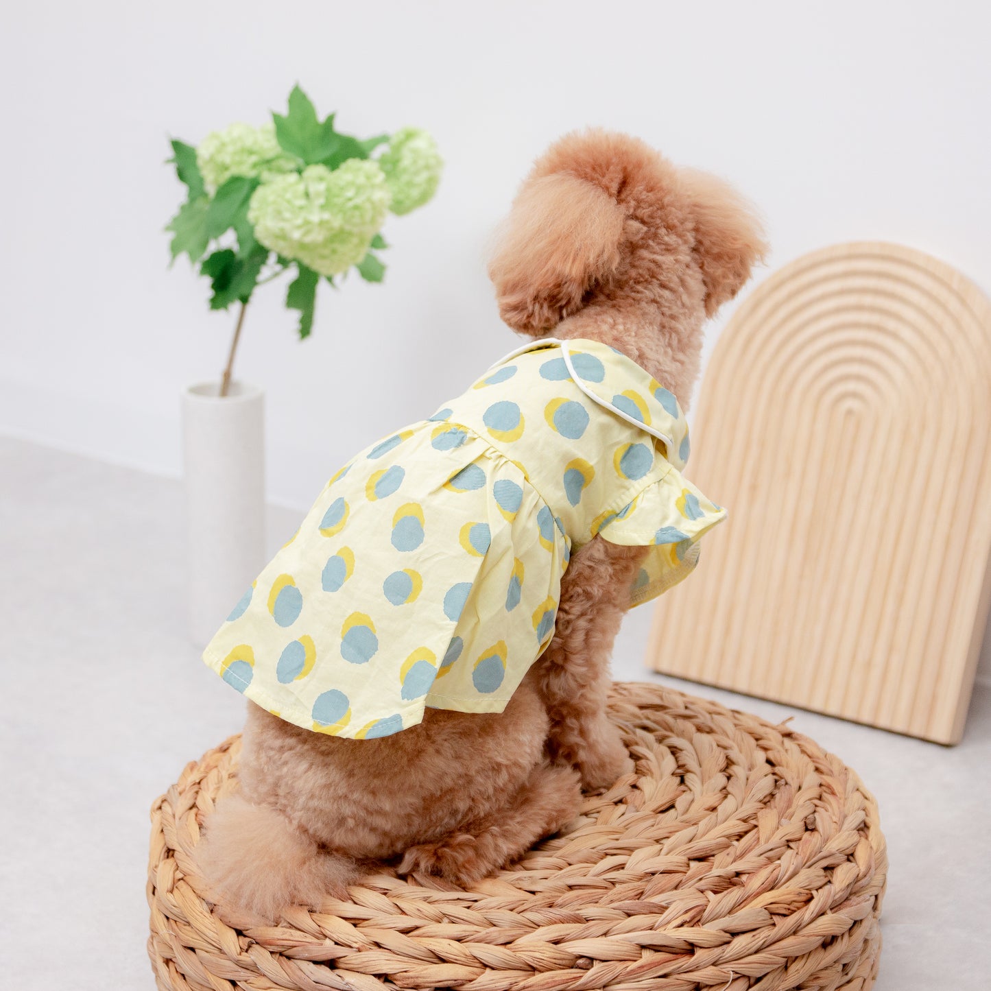 大きなドットのレトロワンピース