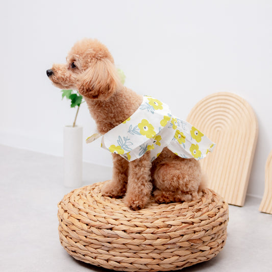 サマーカラーワンピース