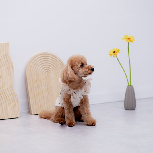 ワッフルフリルトップス