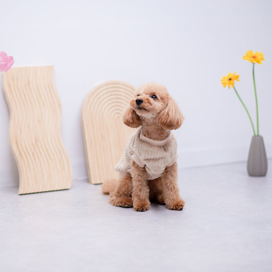 ストライプボアウエア