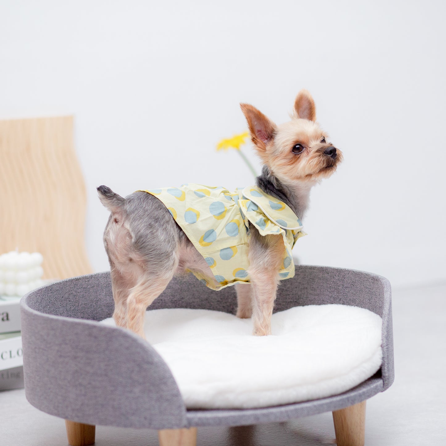 大きなドットのレトロワンピース