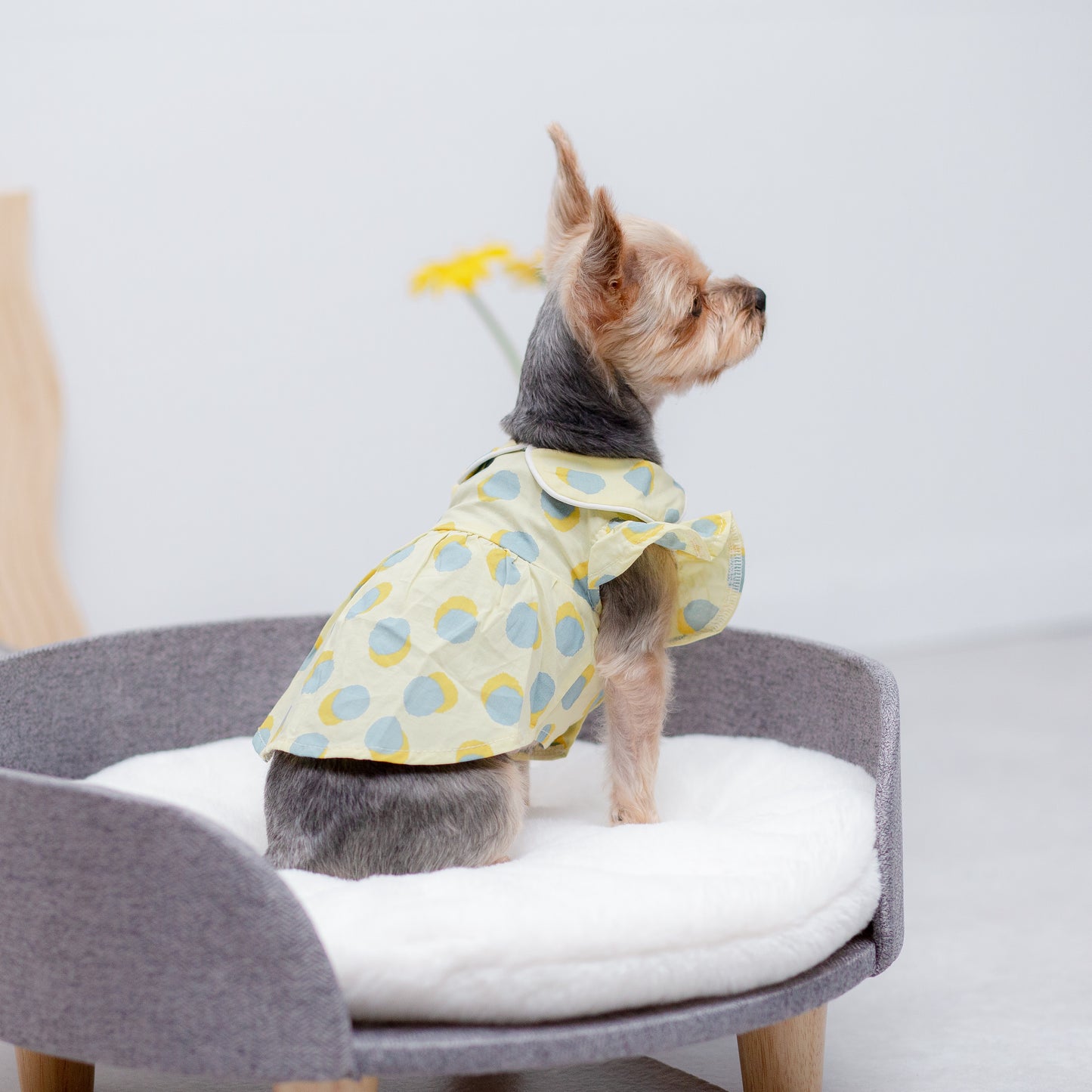 大きなドットのレトロワンピース