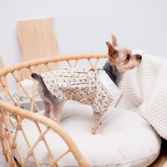 丸襟レトロワンピース