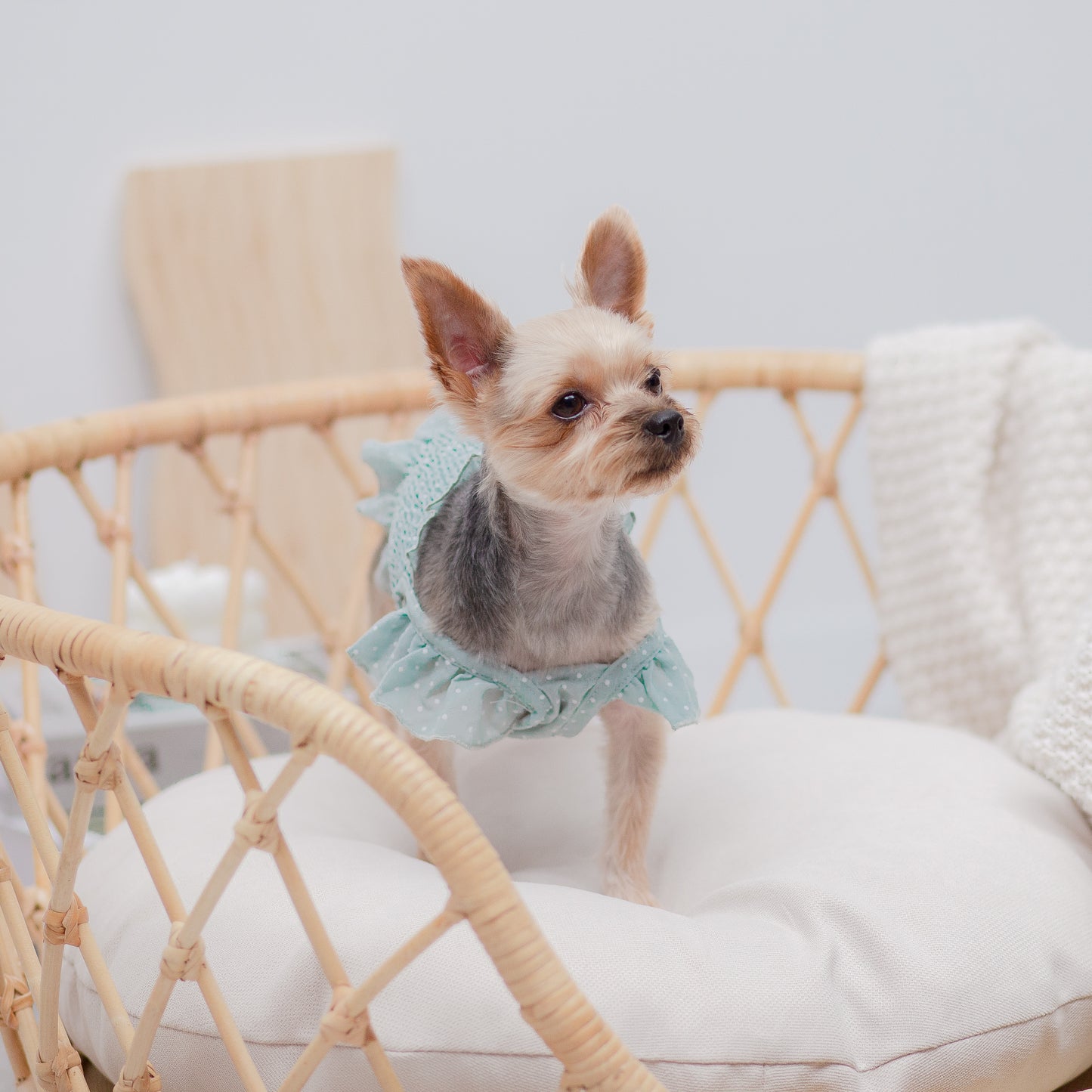 ドット柄シフォンワンピース