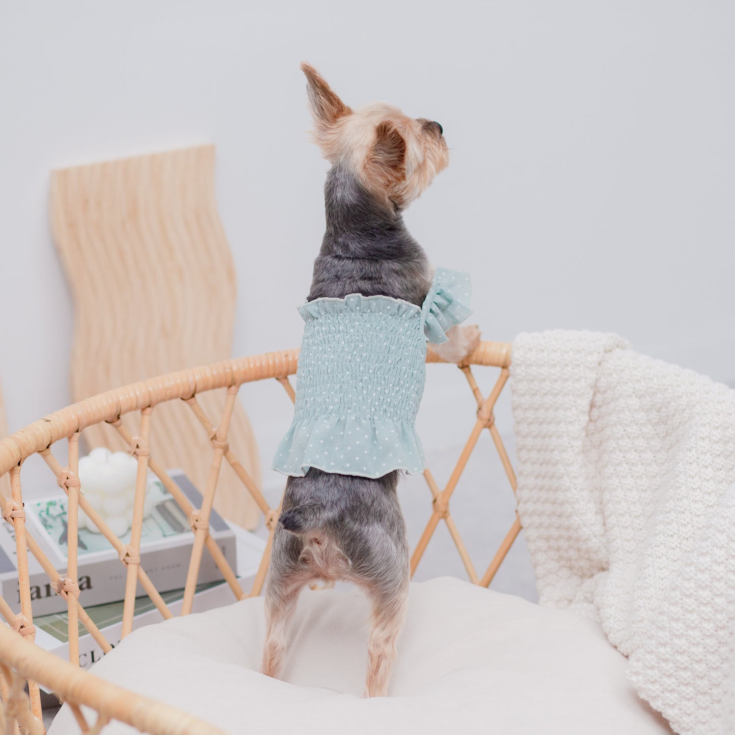 ドット柄シフォンワンピース