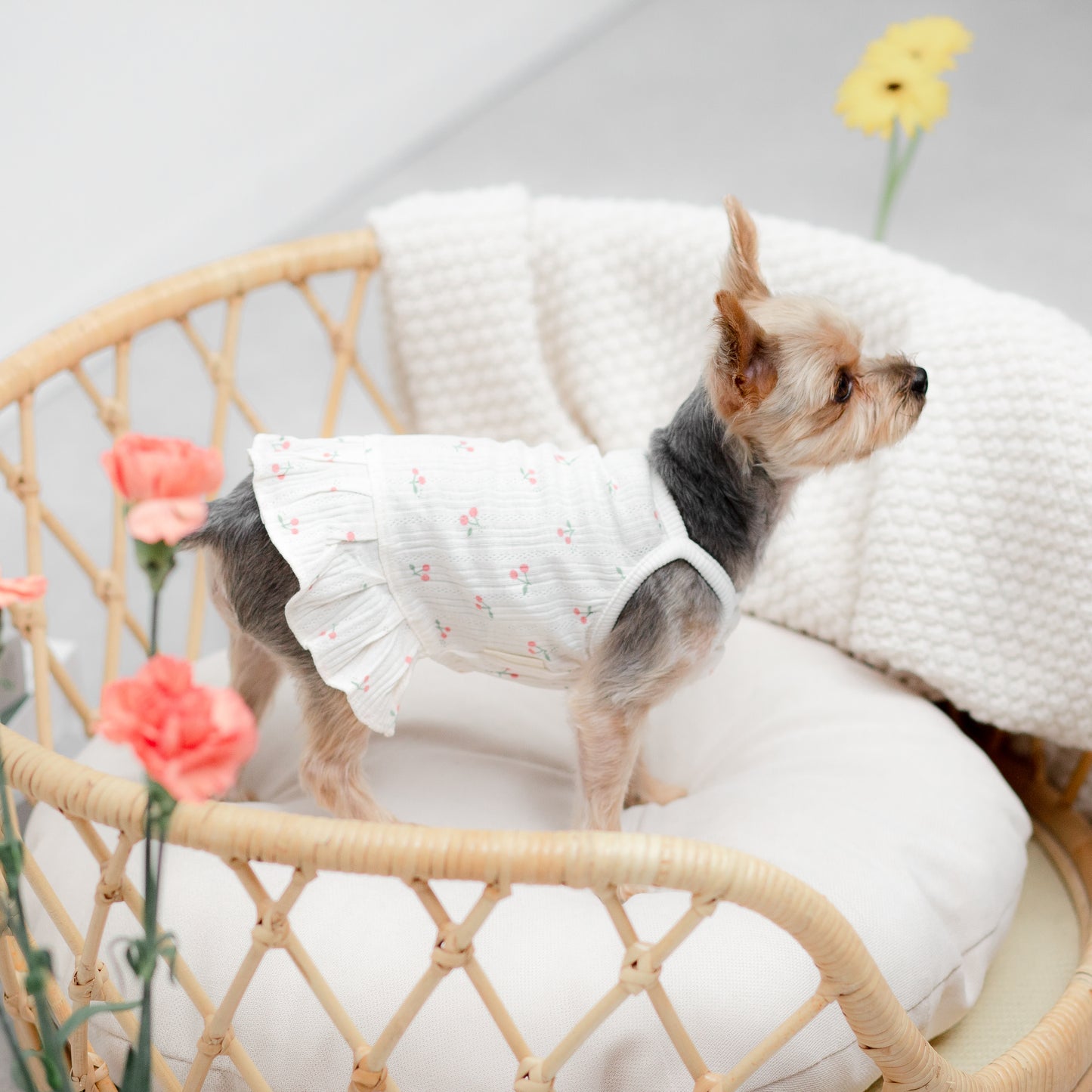 さくらんぼ柄キャミワンピース