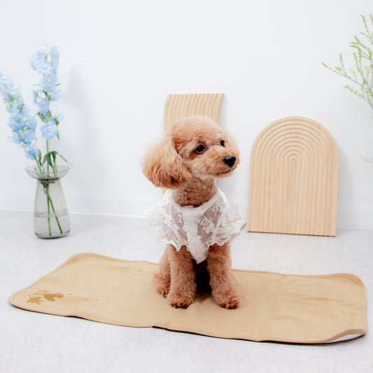 エレガントレースワンピース