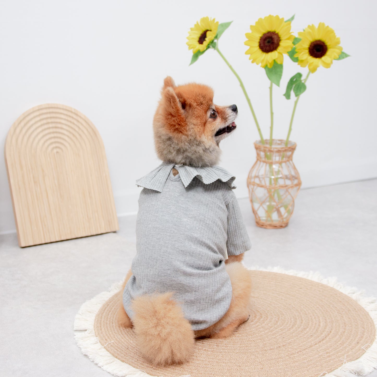 ビッグカラーカットソー