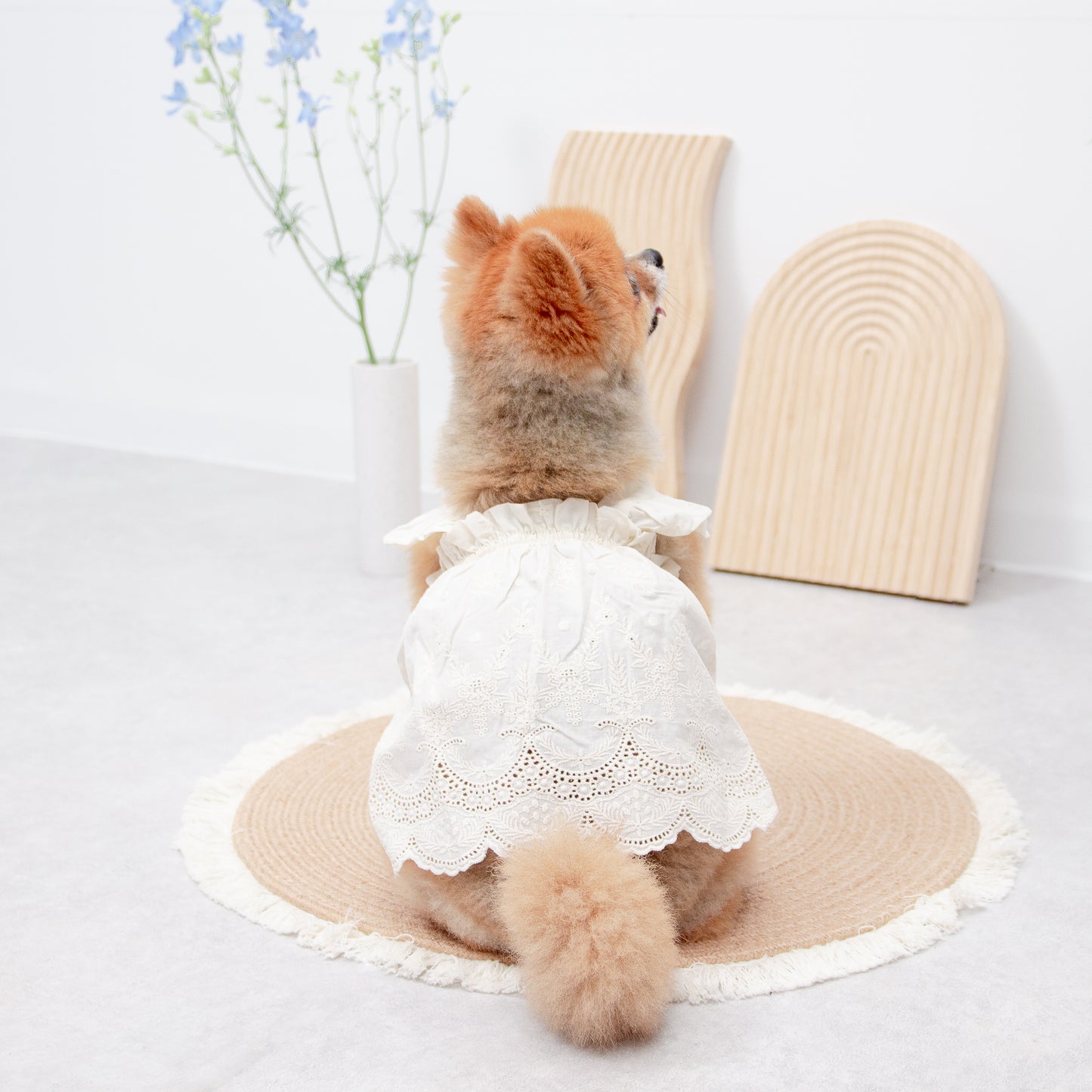 フリルレースワンピース