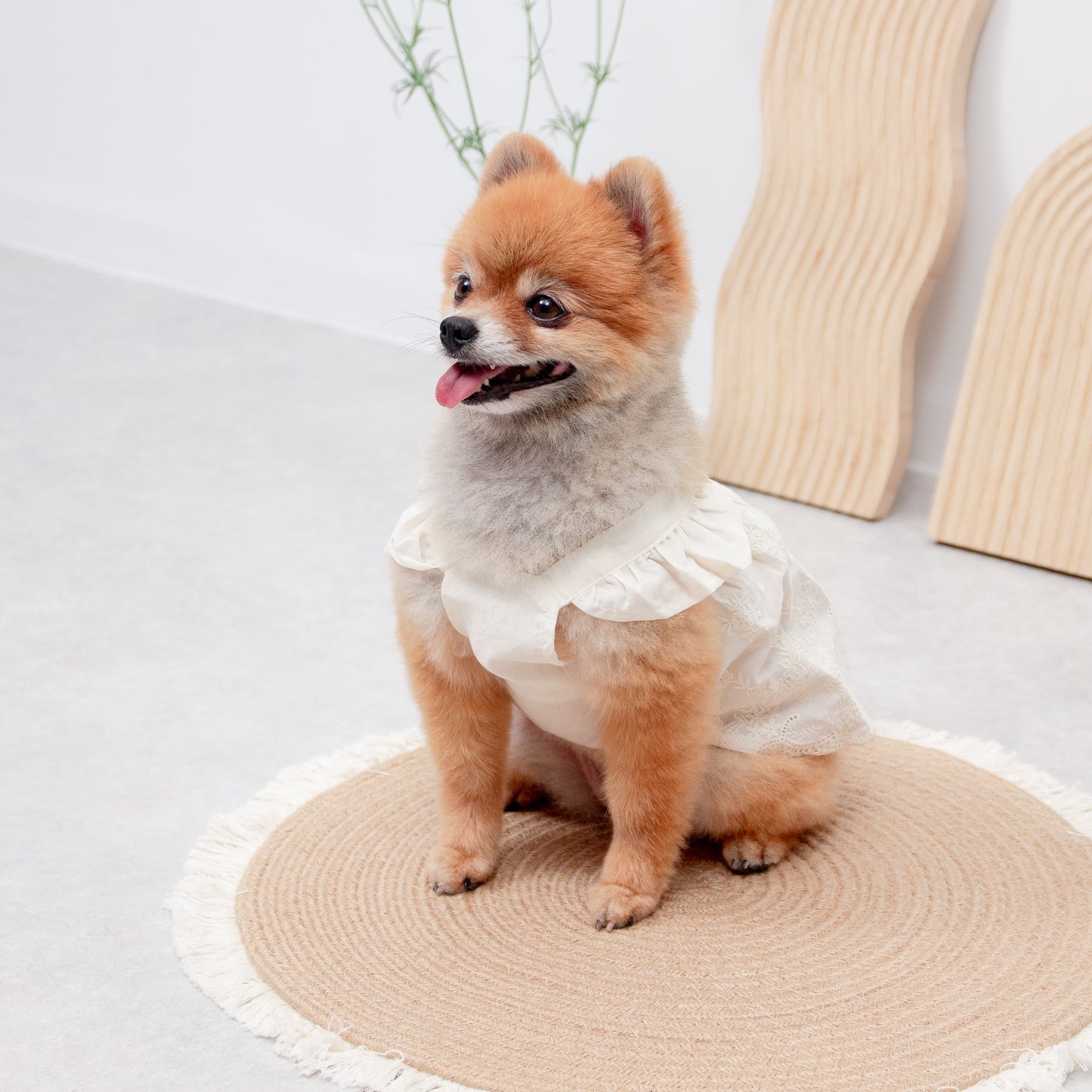 フリルレースワンピース