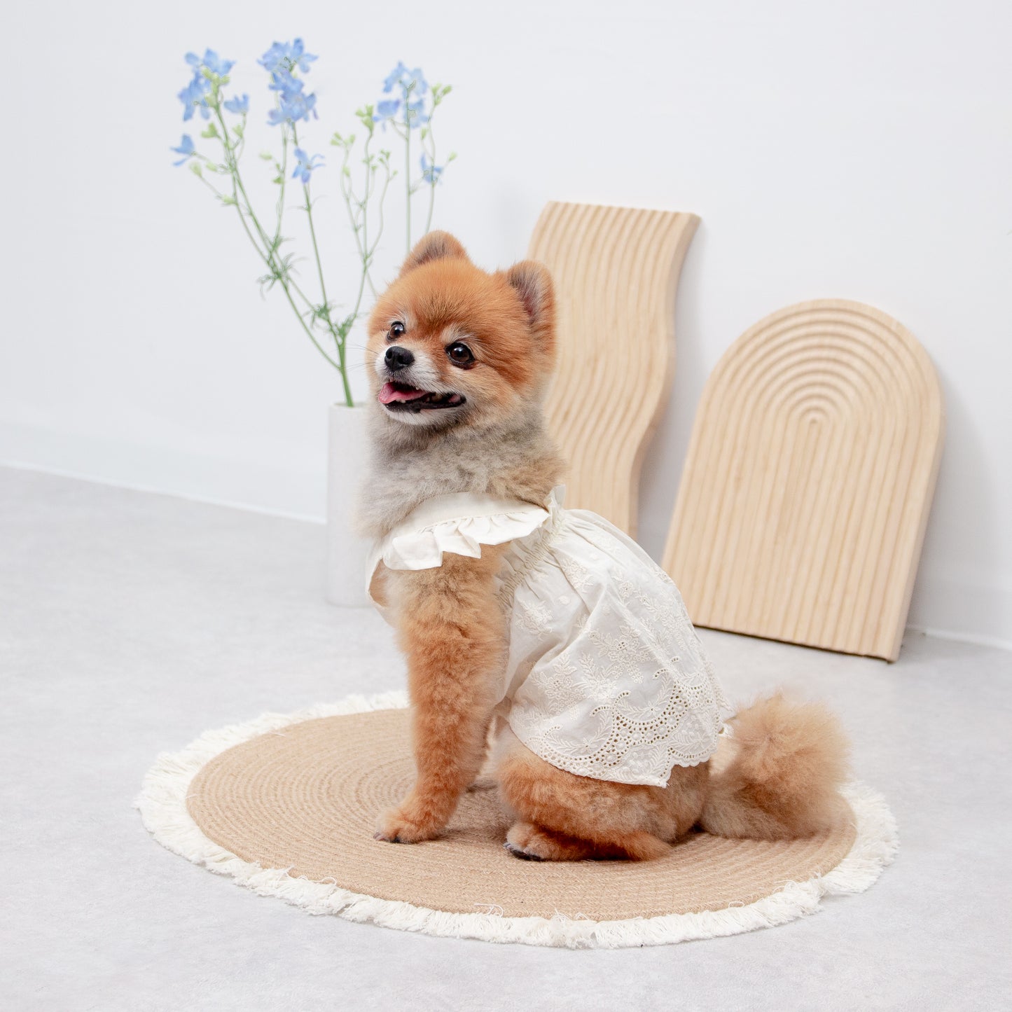 フリルレースワンピース