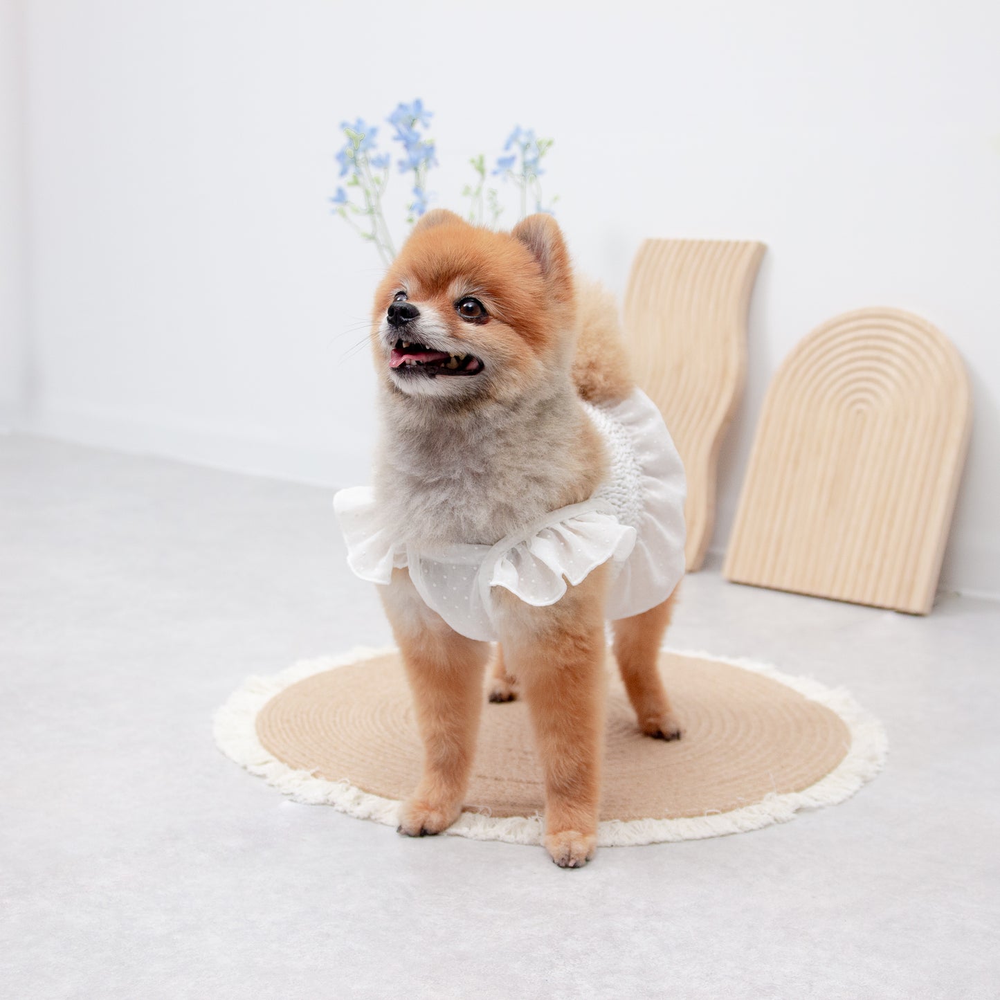 ドット柄シフォンワンピース