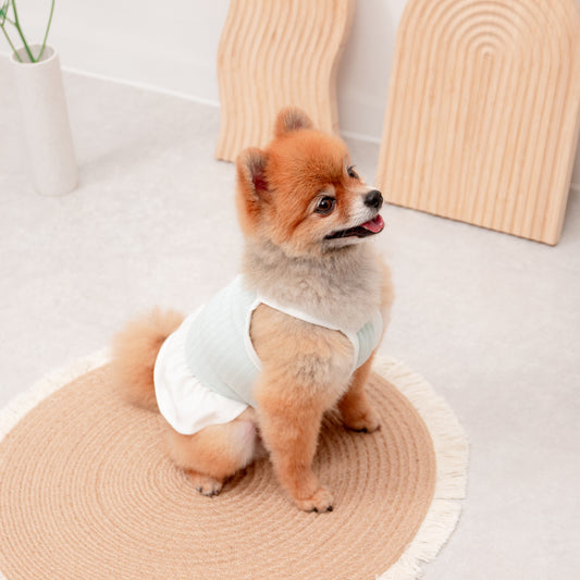 フリルキャミソール