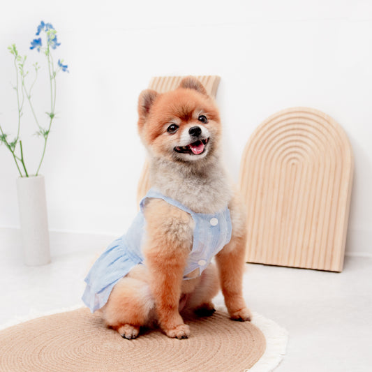 パステルカラーレースワンピース