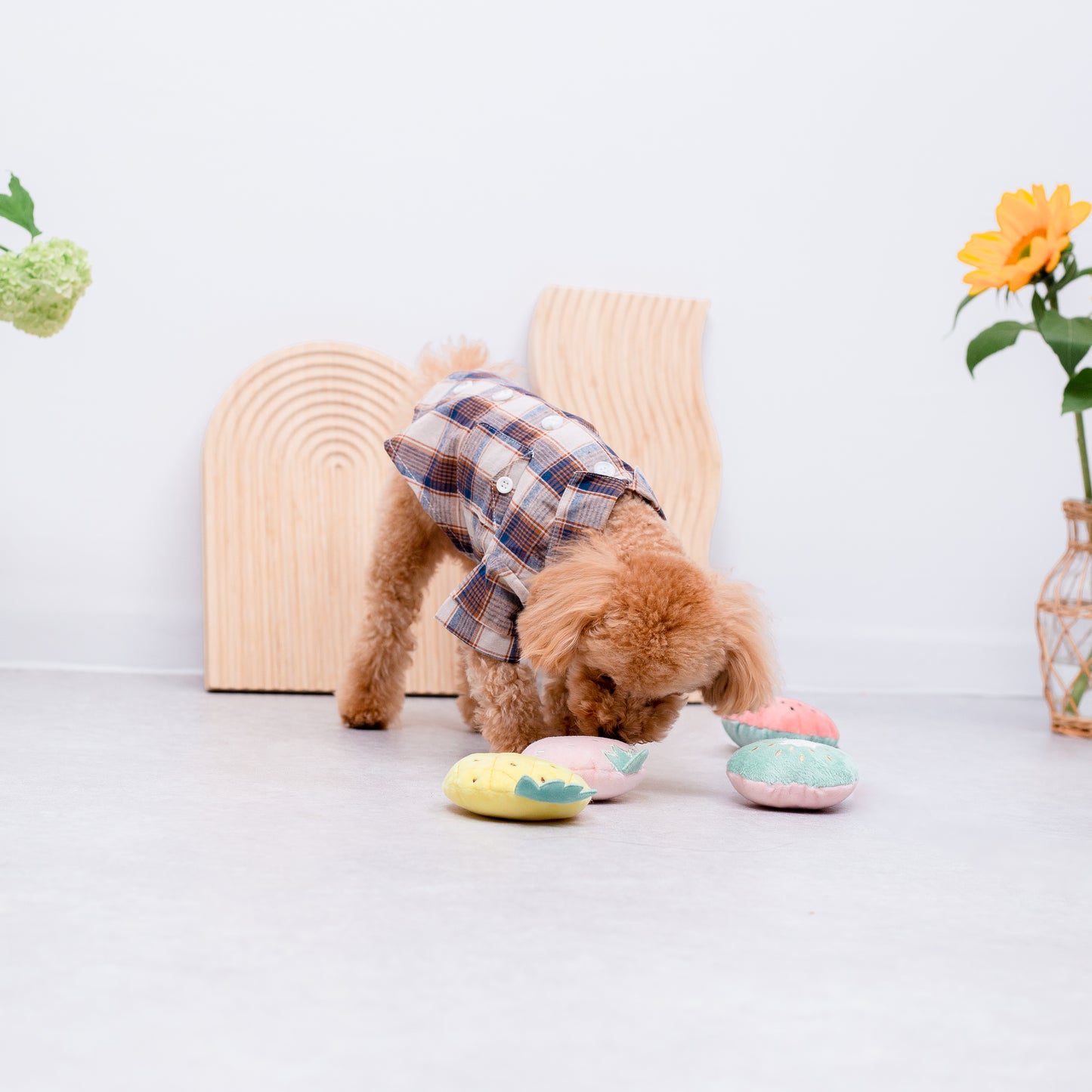 フルーツおもちゃ