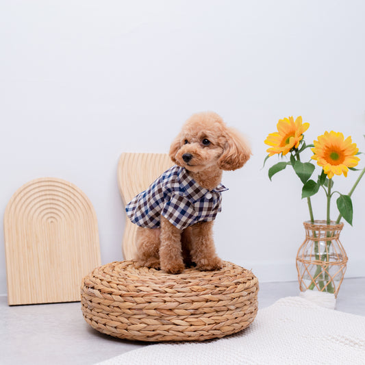 ギンガムチェックシャツ