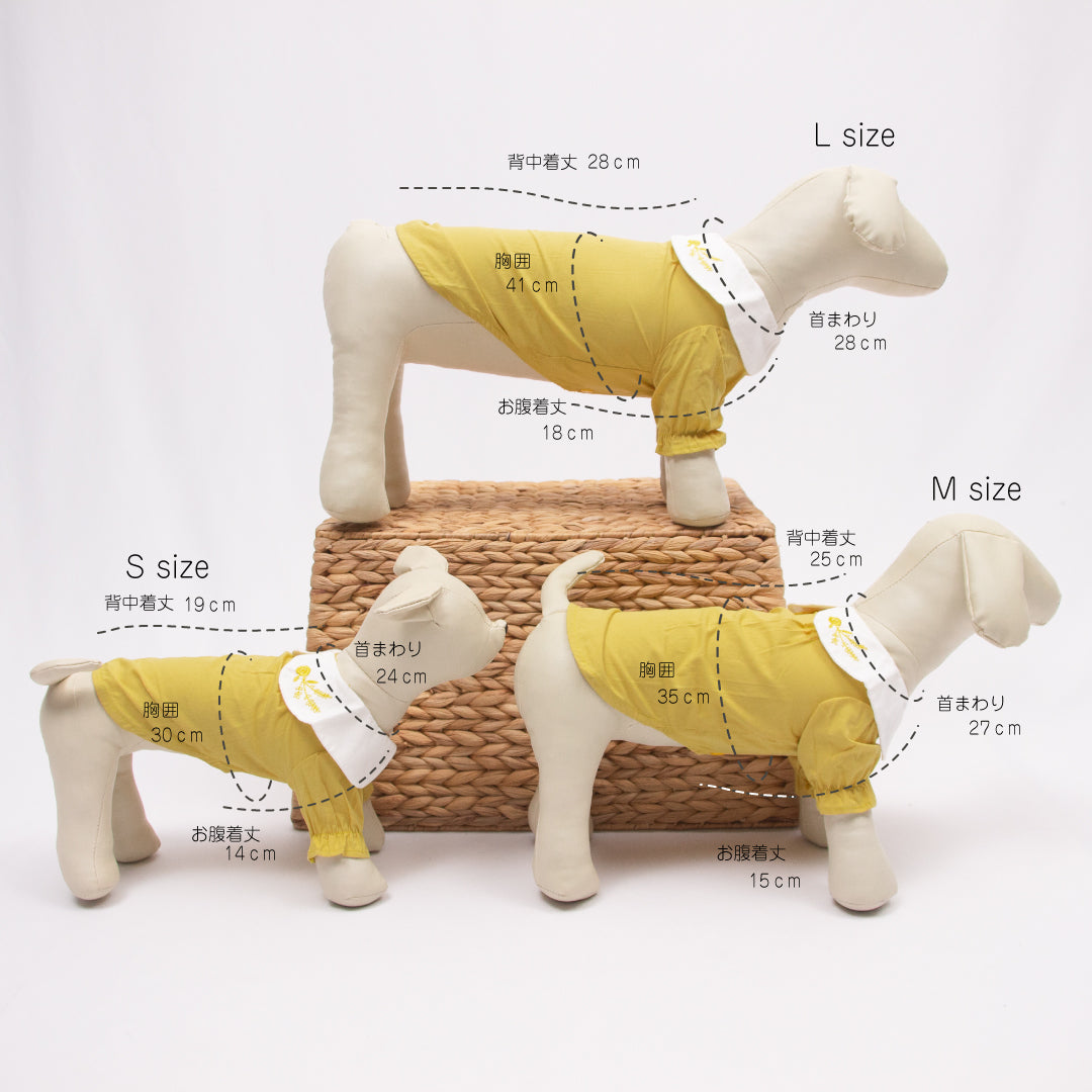 オータムカラーシャツ