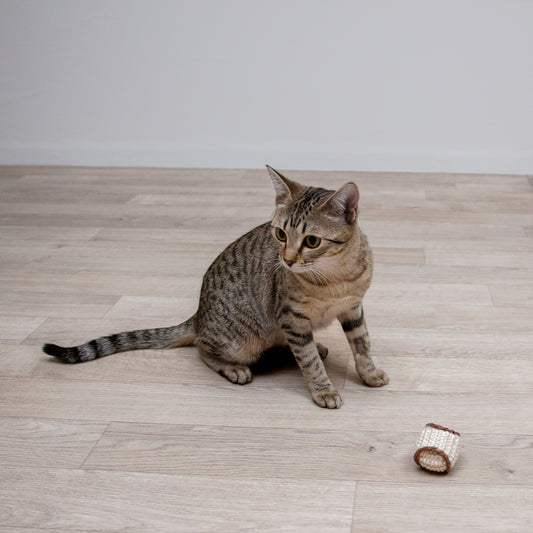 ねこちゃん麻ボール