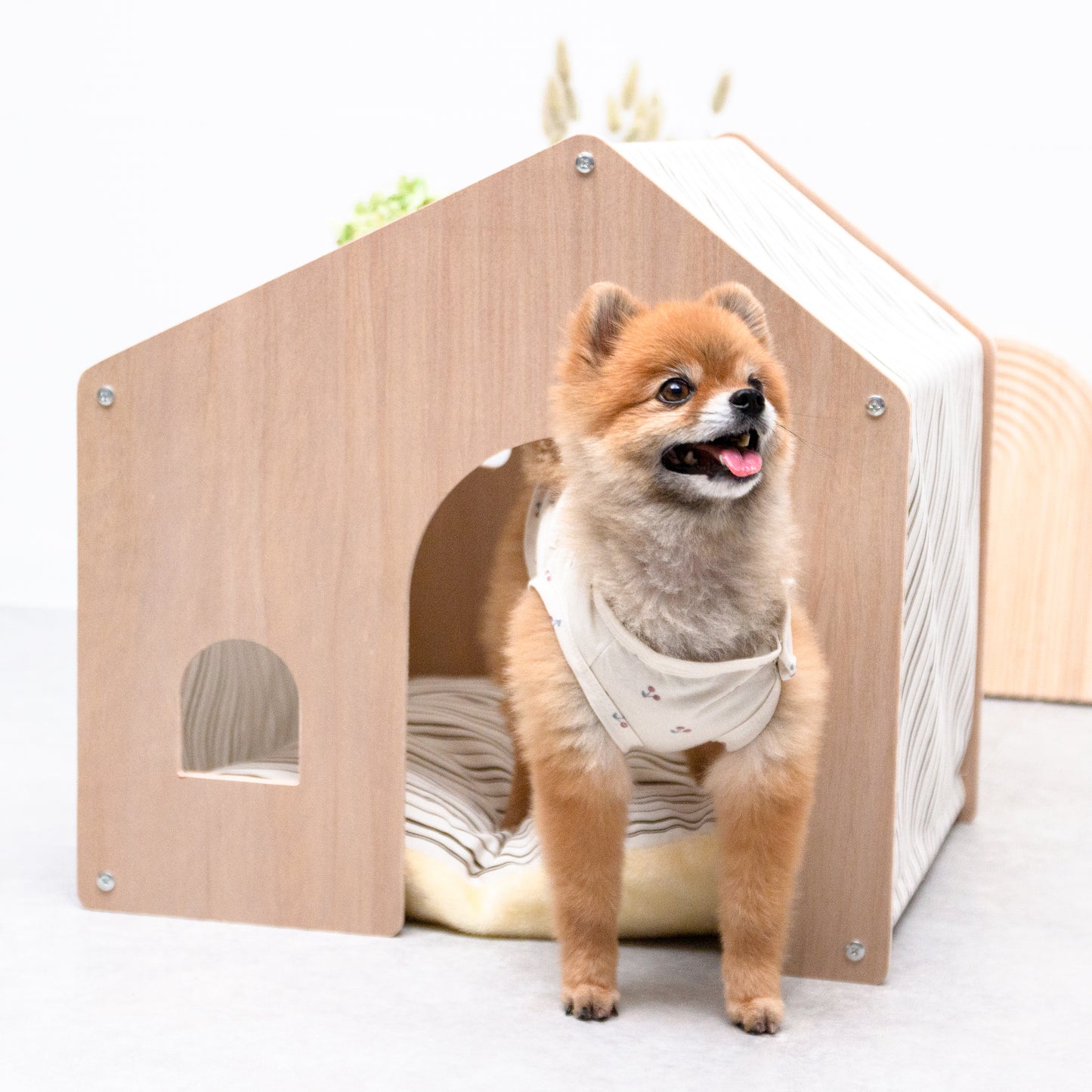 北欧ペットハウス