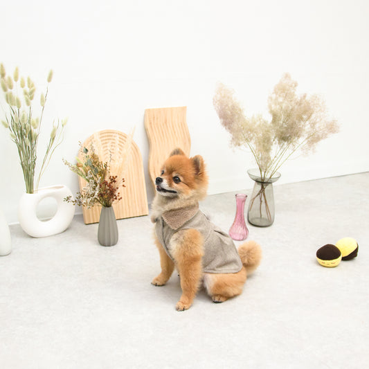 ボアカラーコート