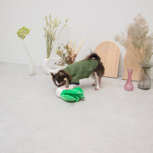 野菜のおもちゃ